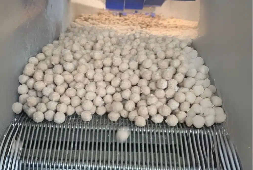 Maatwerk vriezer voor veelzijdige vleesverwerking
