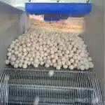 Maatwerk vriezer voor veelzijdige vleesverwerking