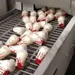 extra vriescapaciteit tijdens seizoen piek